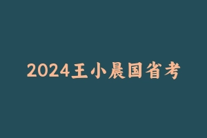 2024王小晨国省考理论+套卷课1期